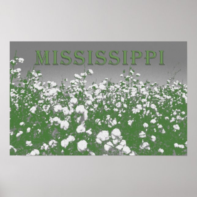 Mississippi Cotton Poster (Vorne)