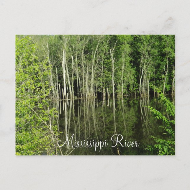 Mississippi-Fluss Postkarte (Vorderseite)