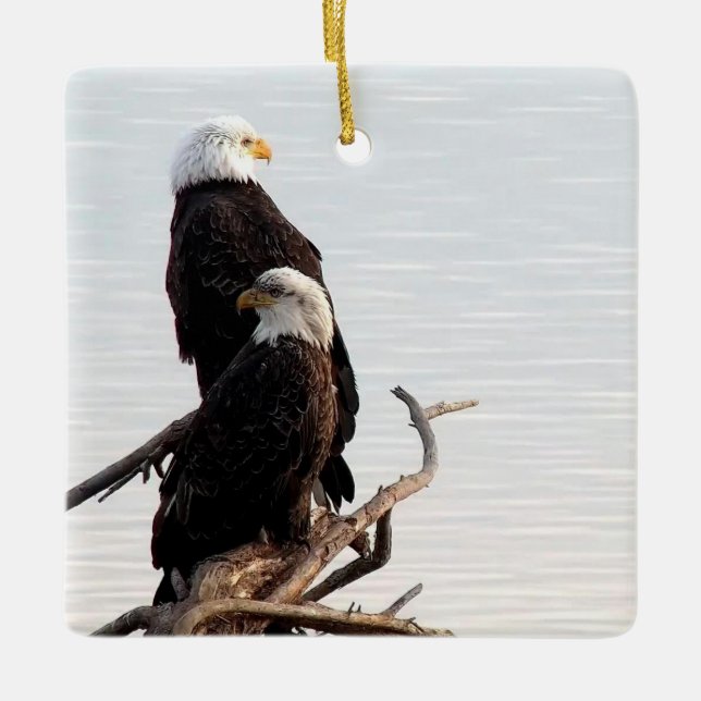 Mississippi Flyway Dreaming Keramik Keramikornament (Vorderseite)