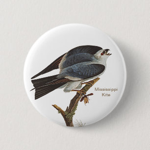 Mississippi Kite, John James Audubon Vogelbeobacht Button