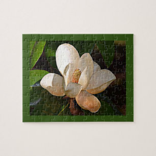 Mississippi Magnolia