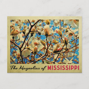 Mississippi Magnolias Postkarte