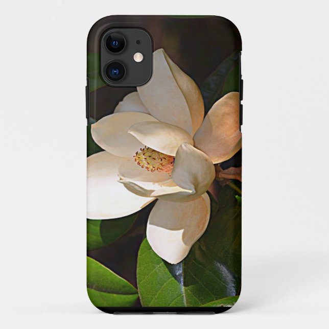 Mississippi-Magnolie Case-Mate iPhone Hülle (Rückseite)