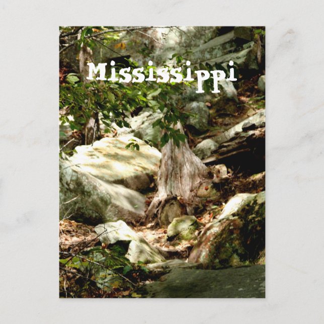 Mississippi Postkarte (Vorderseite)
