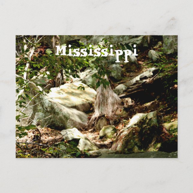Mississippi Postkarte (Vorderseite)