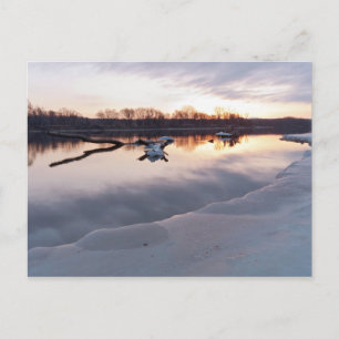 Mississippi River Daybreak in South St Paul Postkarte