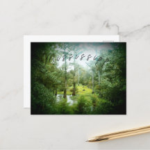 Mississippi-Sumpf - Postkarte
