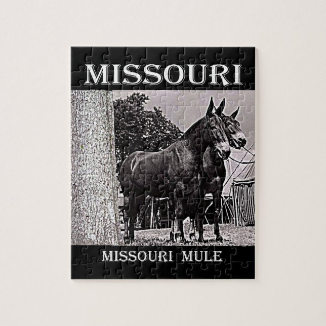 Missouri-Maultier (Vertikal)