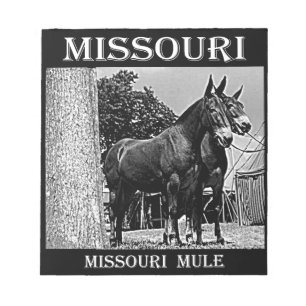 Missouri-Maultier Notizblock