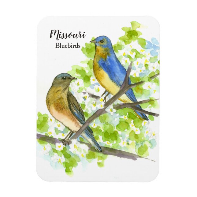 Missouri Souvenir Bluebirds Hawthorn Tree Magnet (Vertikal)