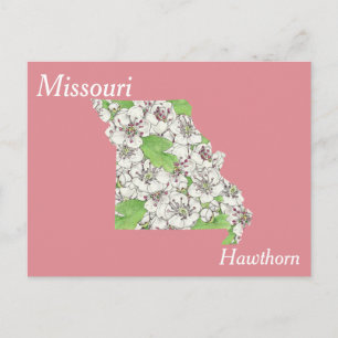 Missouri State Flower - Carte de collage