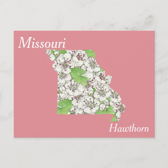 Missouri State Flower - Carte de collage (Devant)