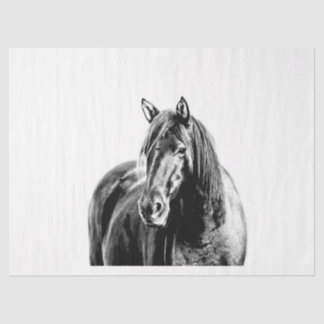 Missouri Wild Horse Seidenpapier