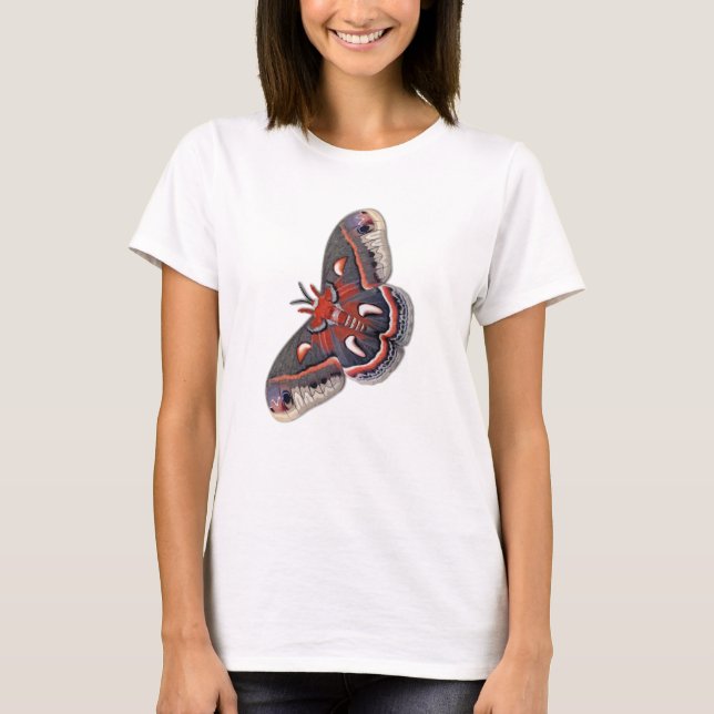 Missouricecropia-Motte Ravens Variante T-Shirt (Vorderseite)