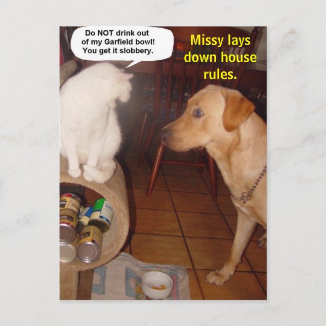 Missy legt Hausregeln fest. Postkarte (Vorderseite)