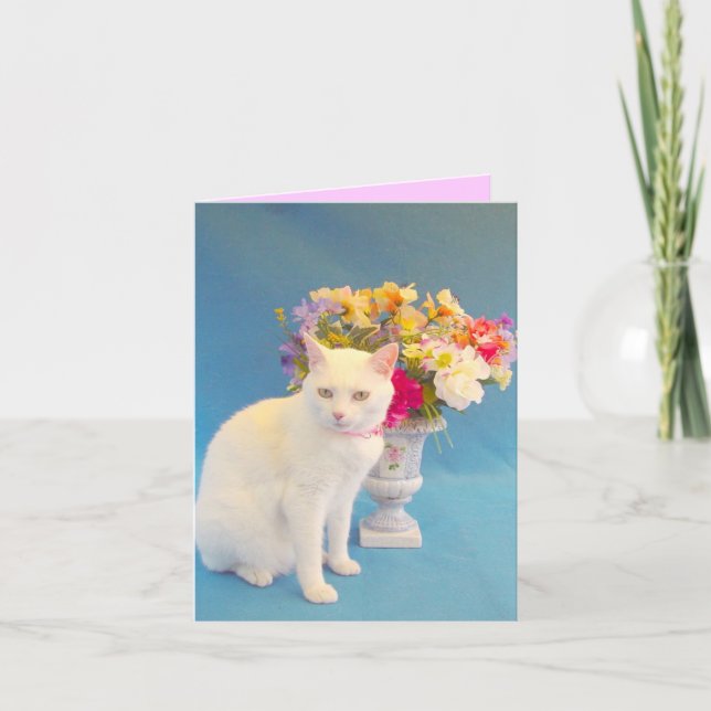 Missy Notecard Karte (Vorderseite)
