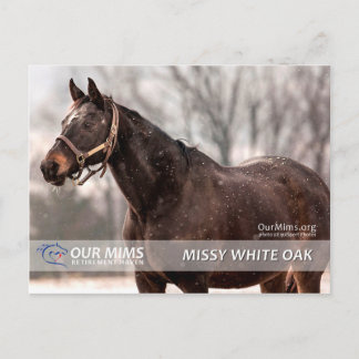 Missy White Oak Postcard Postkarte
