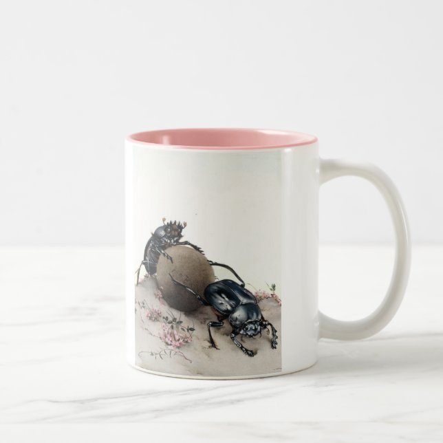 Mist Bettle Zweifarbige Tasse (Rechts)