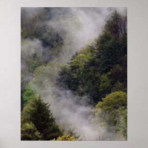 Mist rising from mountainside after spring rain, poster
