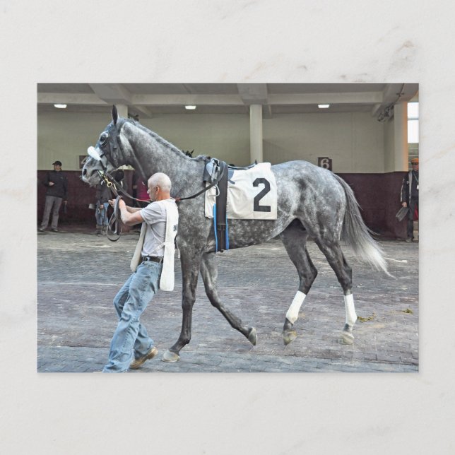 Mister Monolo Postkarte (Vorderseite)