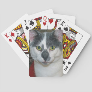 Mister Pants Spielkarten