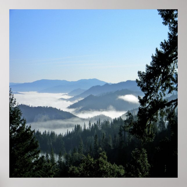 Misting Morning Fog.... Poster (Vorne)