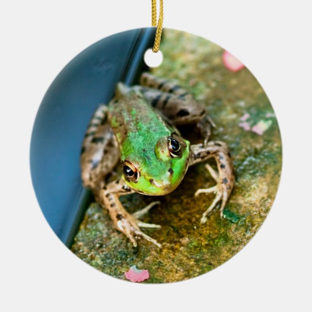 Mistletoad - runde Keramikfrosch Keramikornament (Vorne)
