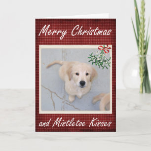 Mistletoe Kisses card Feiertagskarte