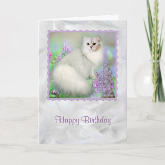 Mistletoe la carte d'anniversaire du chat perse d'