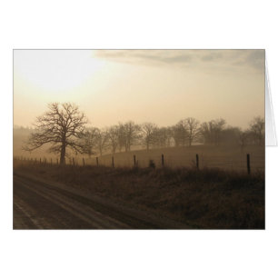 Mistral morgens im März