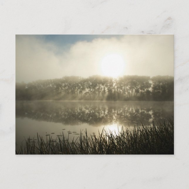 Mistral Morgens - Postkarte (Vorderseite)