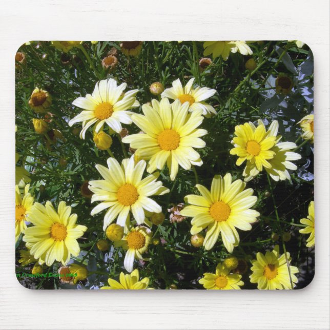 Misty (Agryranthemum) Mousepad (Vorne)