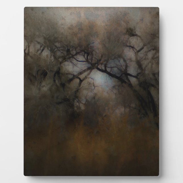 Misty Cottonwoods Fotoplatte (Vorderseite)