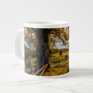 Misty Dawn in einem Wald Jumbo-Tasse