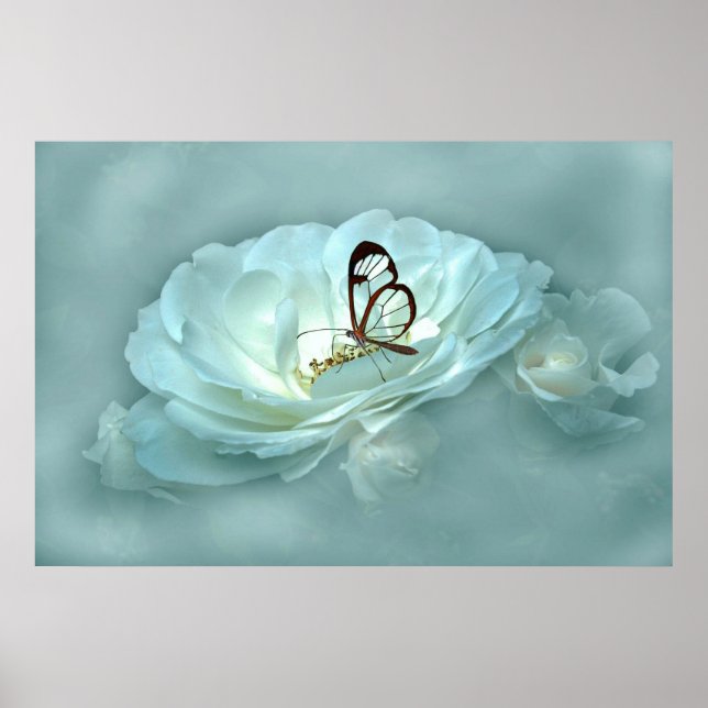 MISTY DREAMS POSTER (Vorne)