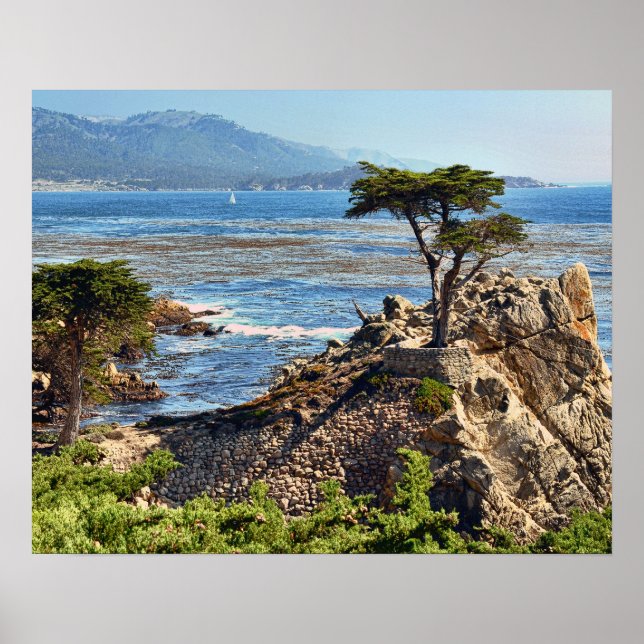 Misty Fog Landschaftlich California Central Coast Poster (Vorne)