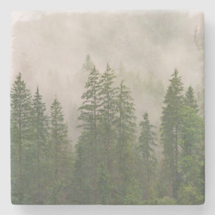 Misty Foggy Forest Trees Steinuntersetzer
