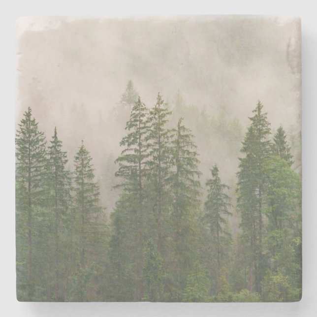 Misty Foggy Forest Trees Steinuntersetzer (Vorderseite)