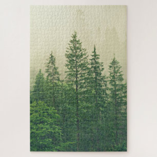 Misty Foggy Green Pine Trees Foto