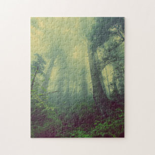 Misty Forest