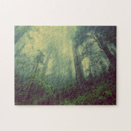 Misty Forest Green Trees