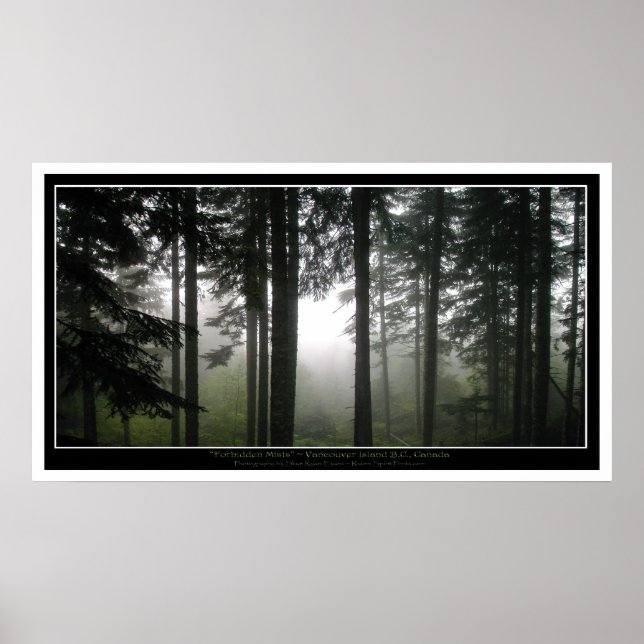 Misty Forest Mystical Foto Poster (Vorne)