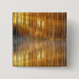 Misty Forest Scene Button