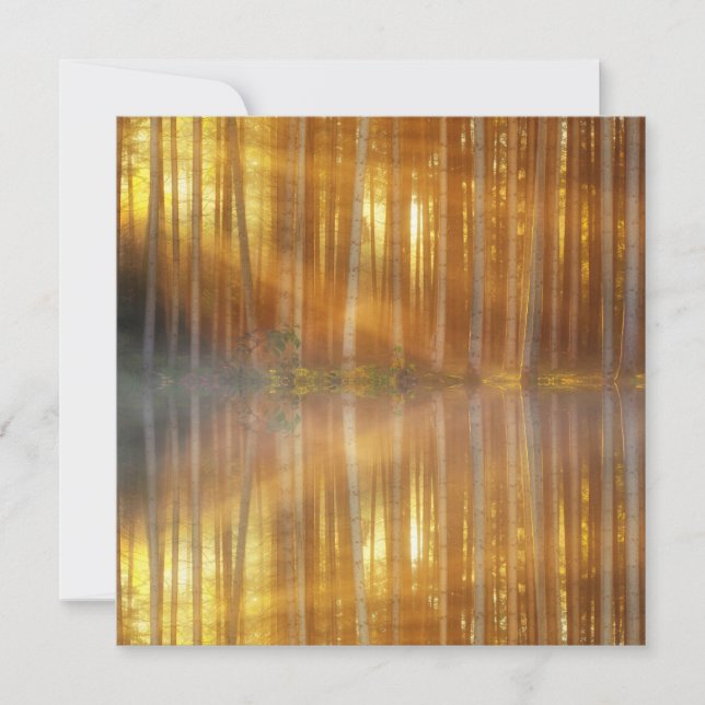 Misty Forest Scene Karte (Vorderseite)