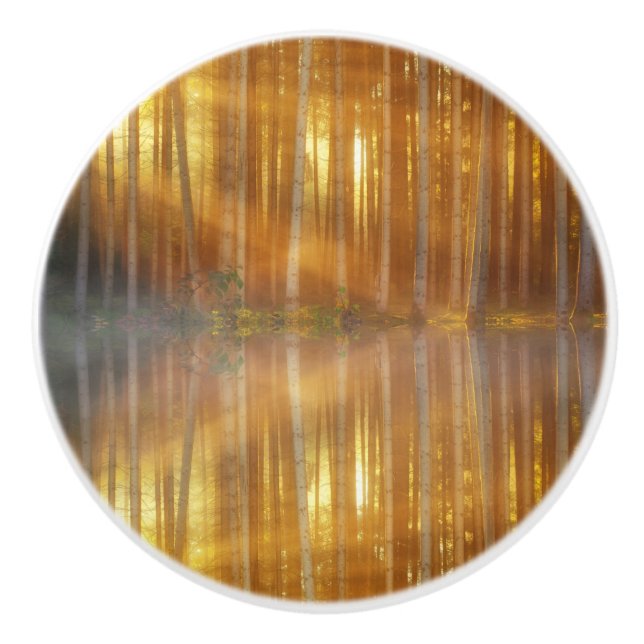 Misty Forest Scene Keramikknauf (Vorderseite)