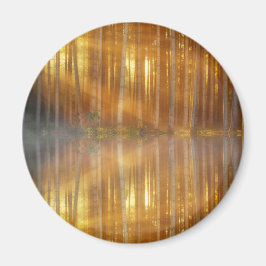 Misty Forest Scene Magnet