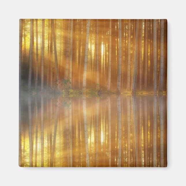 Misty Forest Scene Magnet (Vorne)