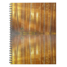 Misty Forest Scene Notizblock