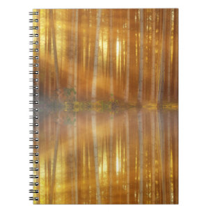 Misty Forest Scene Notizblock