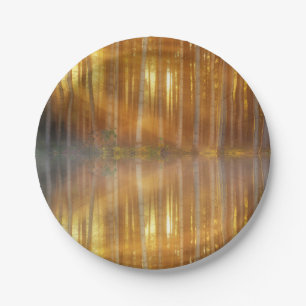 Misty Forest Scene Pappteller